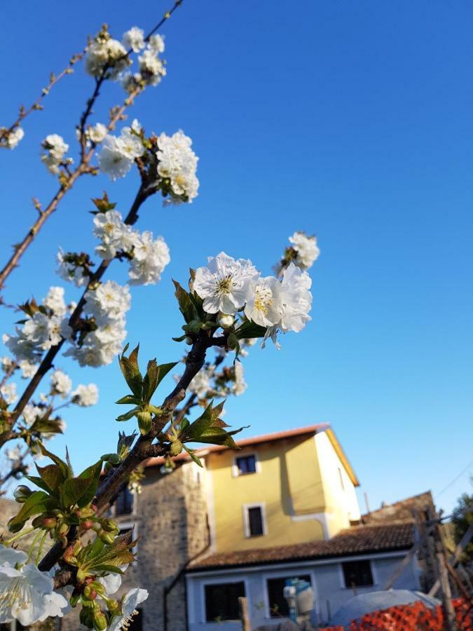Le Quattro Pietre Apartment Camerota Exterior photo